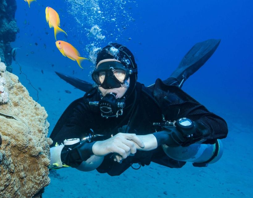Antalya: Scuba Diving with Pickup, Lunch, and 2 Dives