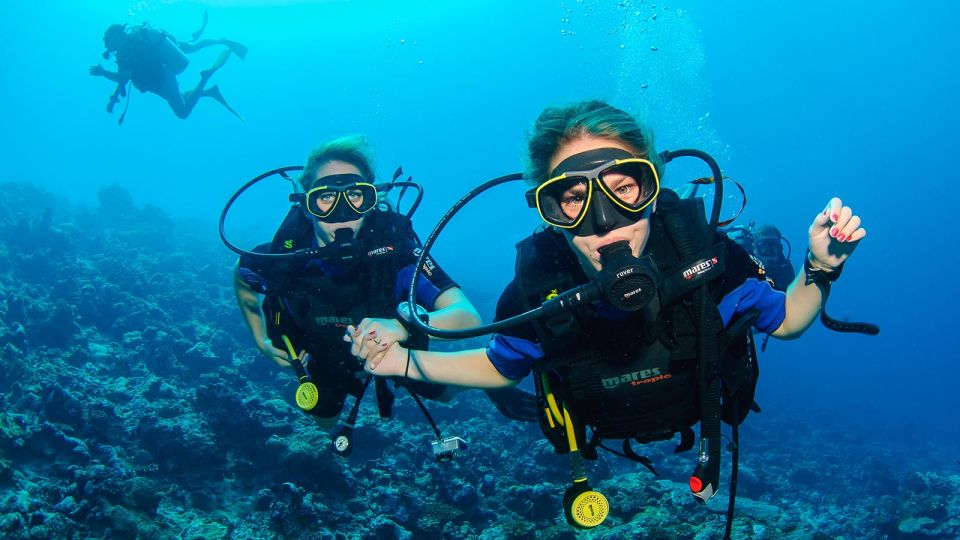 Scuba Diving Tour in Bodrum