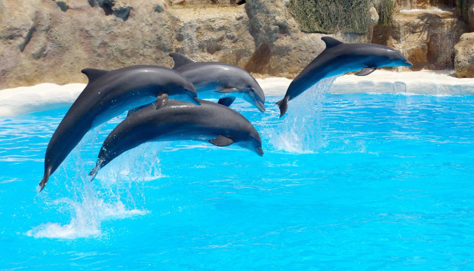 Antalya: The Land of Legends Theme Park with Transfer