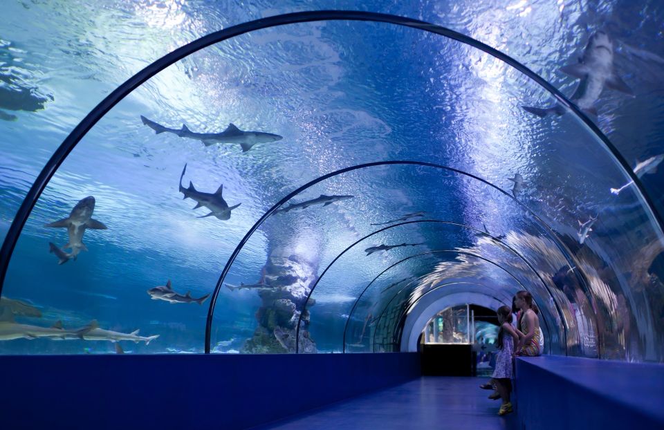Antalya: Aquarium Entrance Ticket & Optional Transfer