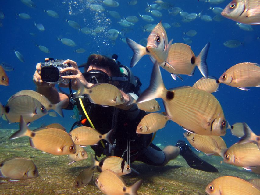 Fethiye: Ölüdeniz Scuba Diving Tour