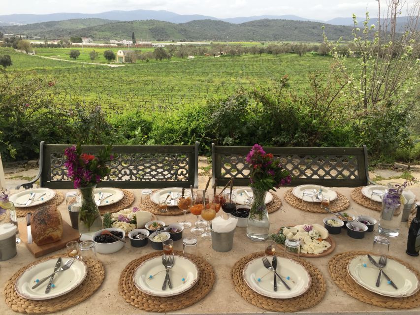 Bodrum Vineyard Tour with Dinner and Wine Pairing