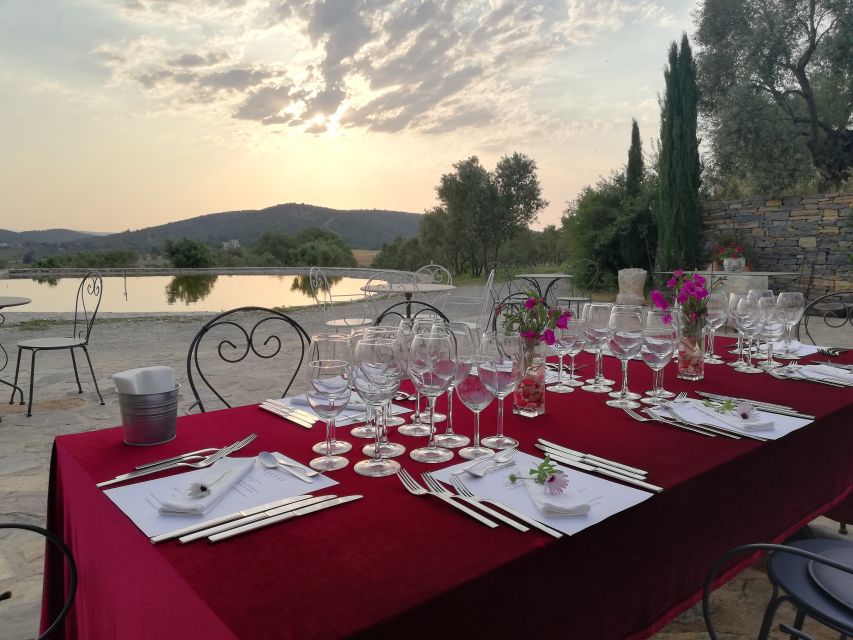 Bodrum Vineyard Tour with Dinner and Wine Pairing
