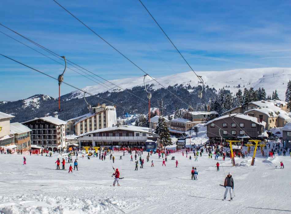Bursa