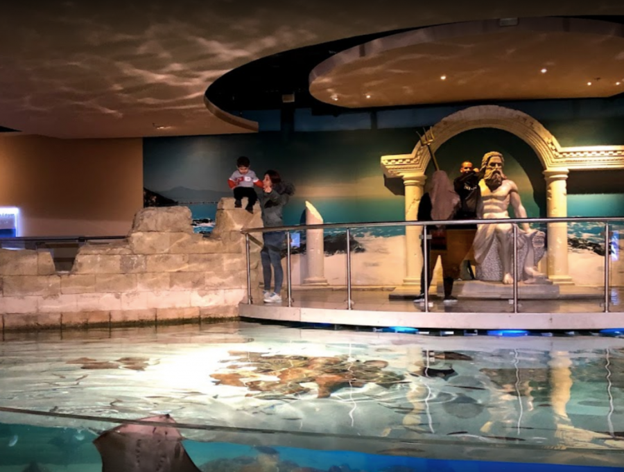 Istanbul Aquarium Ticket & Shuttle Bus